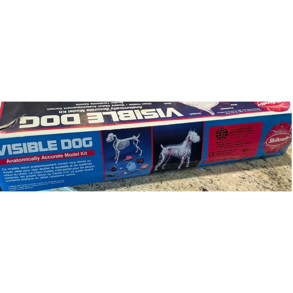 Skilcraft Vintage Visible Dog Anatomically Accurate Model Kit Science‎ Toy 9in